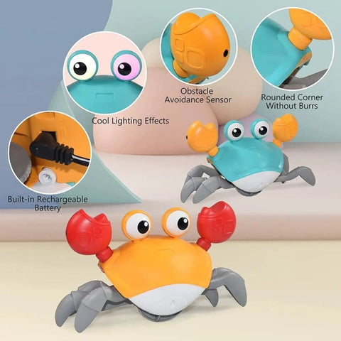 Willy the Crab Early Learning Toy