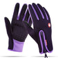 Gants Homme / Femme Compatible écran Tactile Violet / s