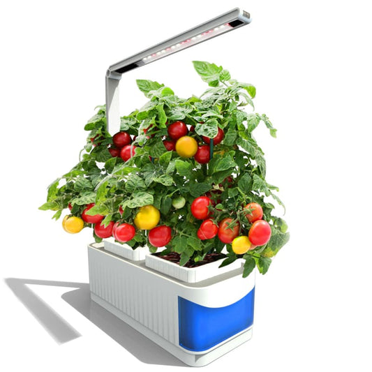 Mini Jardin Potager D’intérieur Hydroponique Avec Lampe Led